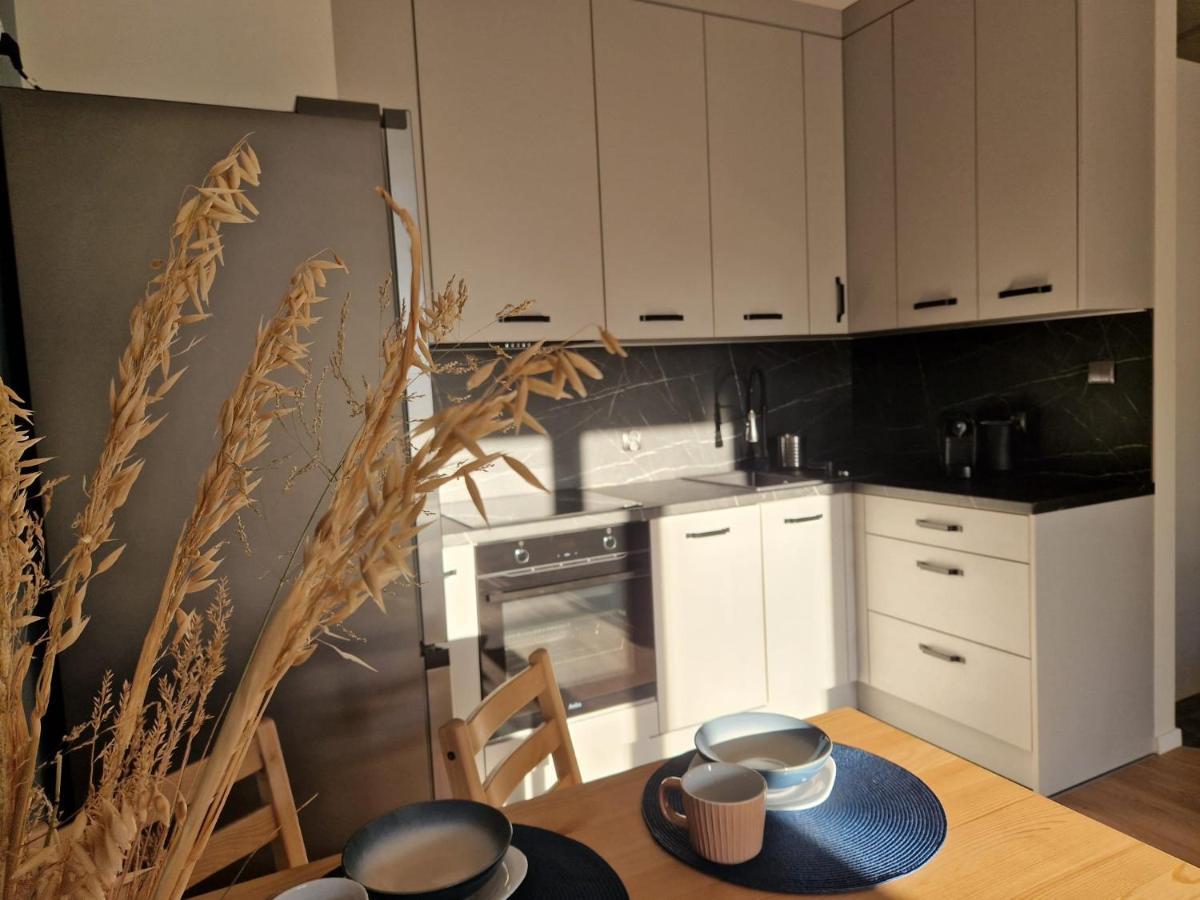 Apartament Iławianka *